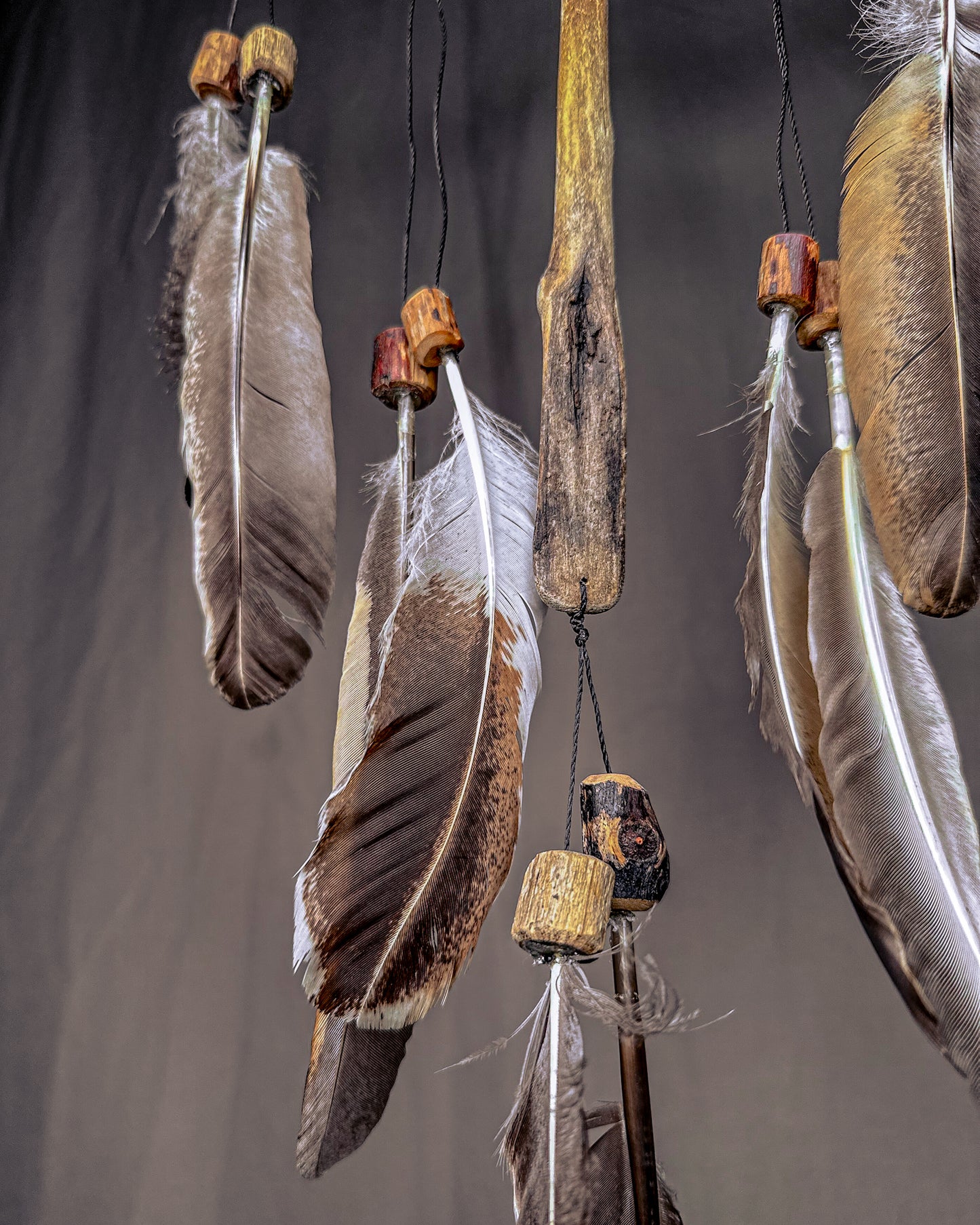 „Migla“ Sapnų gaudyklė