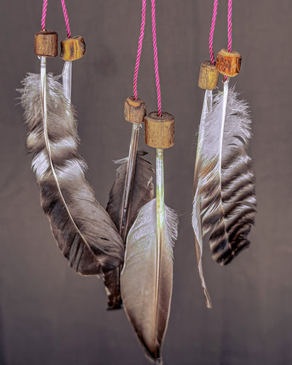 „Medūza" Sapnų gaudyklė