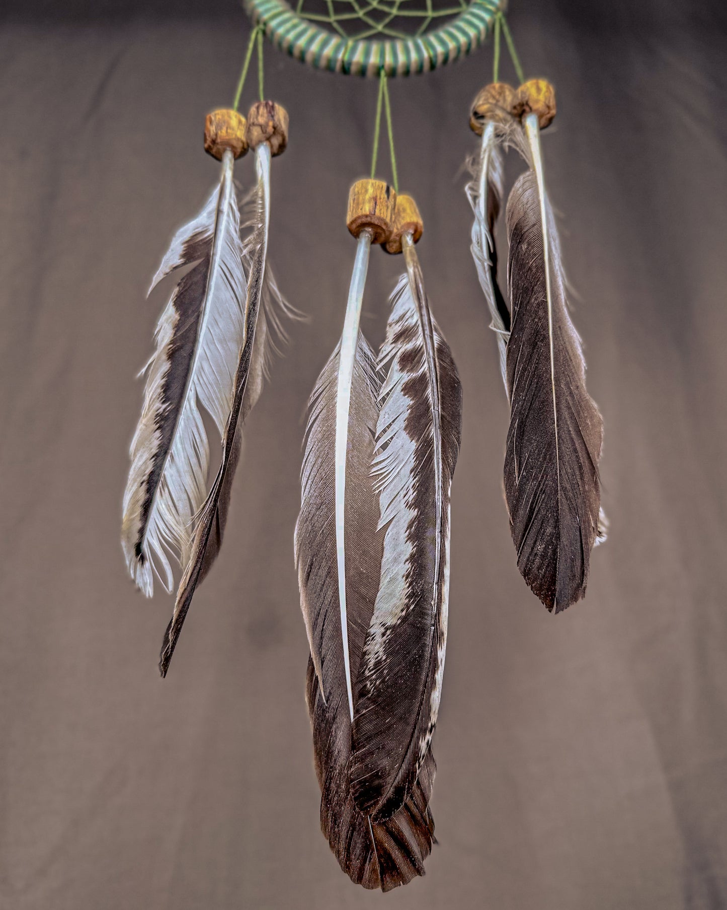 „Trauka“ Sapnų gaudyklė