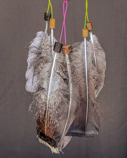 „Reivas“ Sapnų gaudyklė