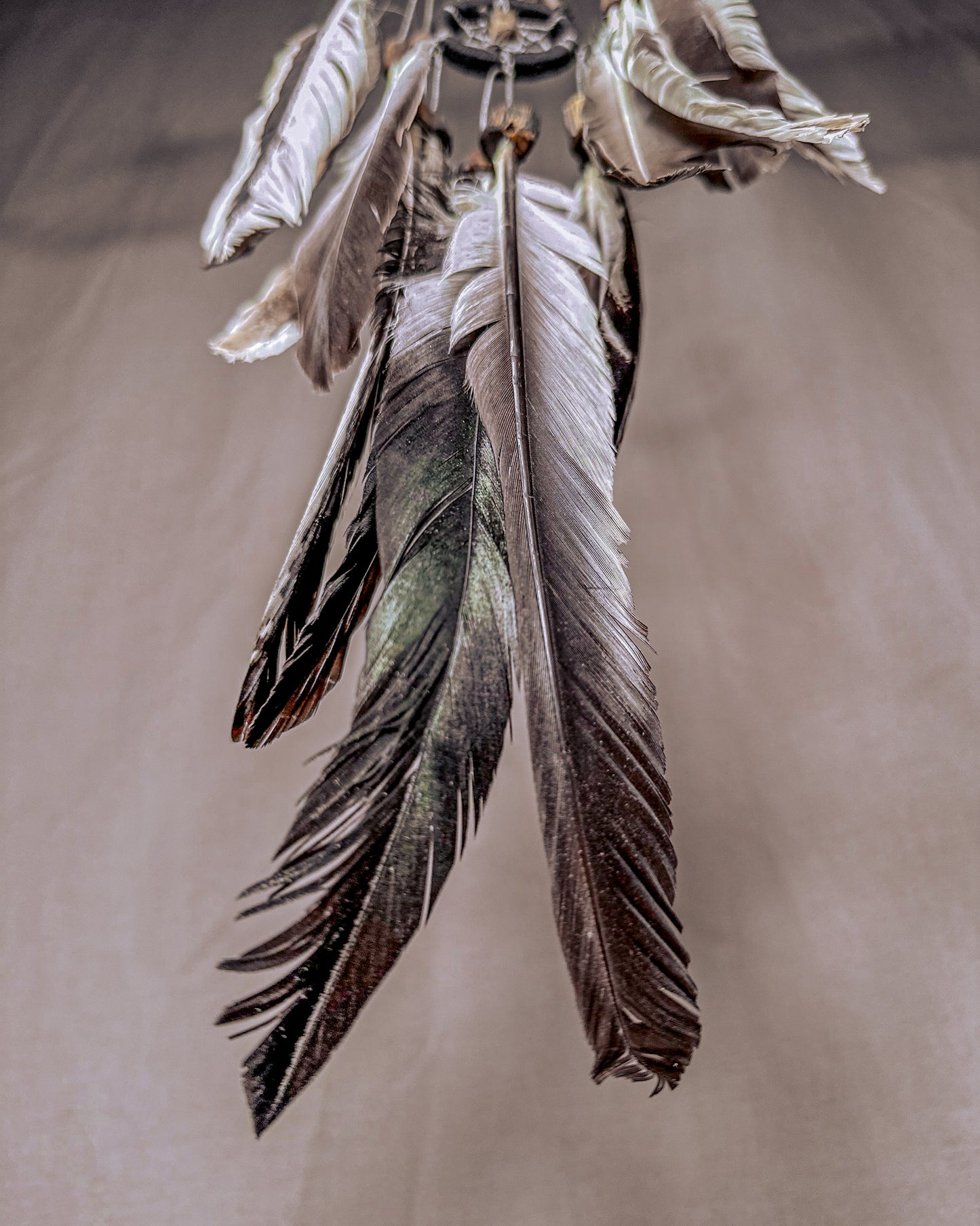 „Kartu“ Sapnų gaudyklė