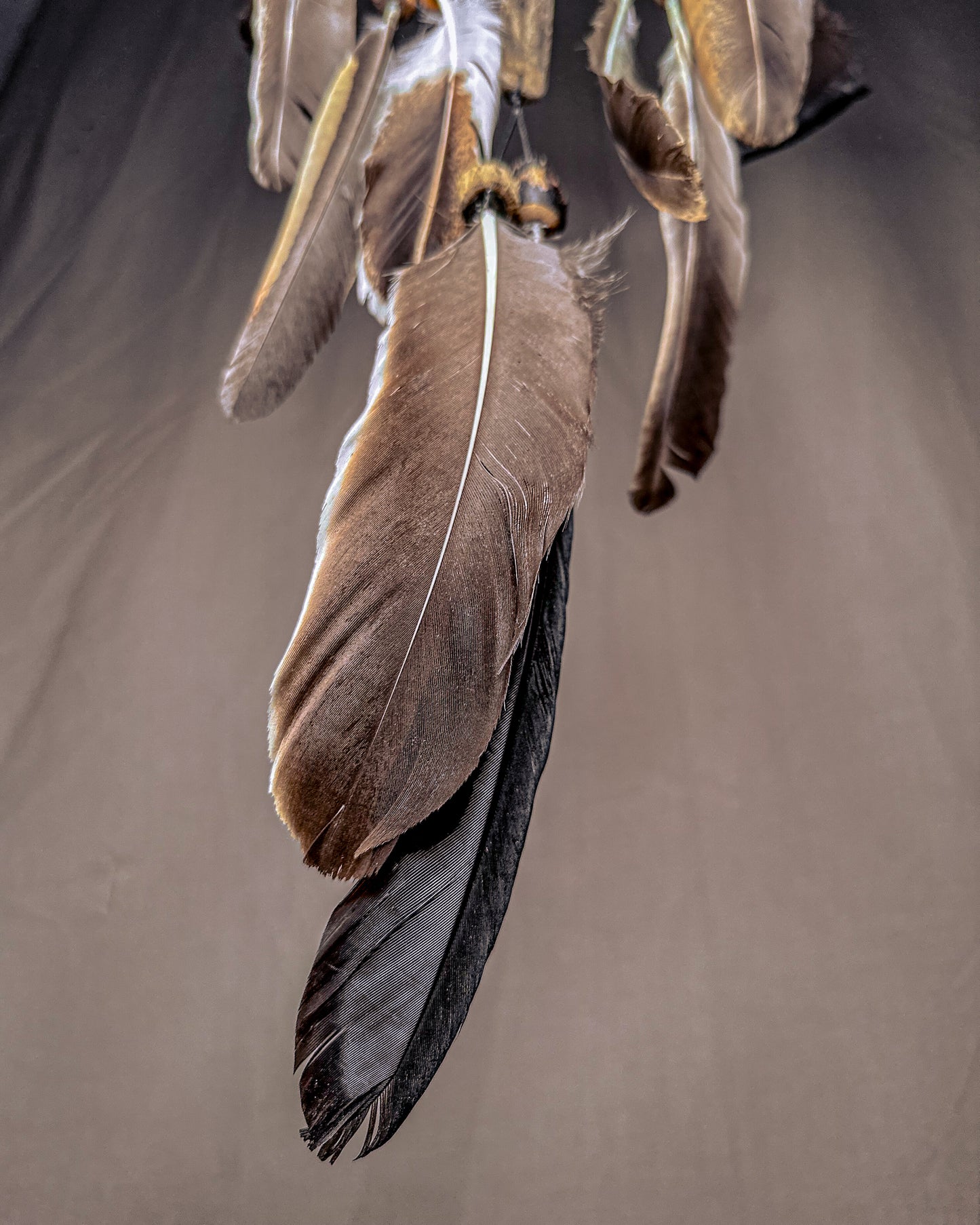 „Migla“ Sapnų gaudyklė