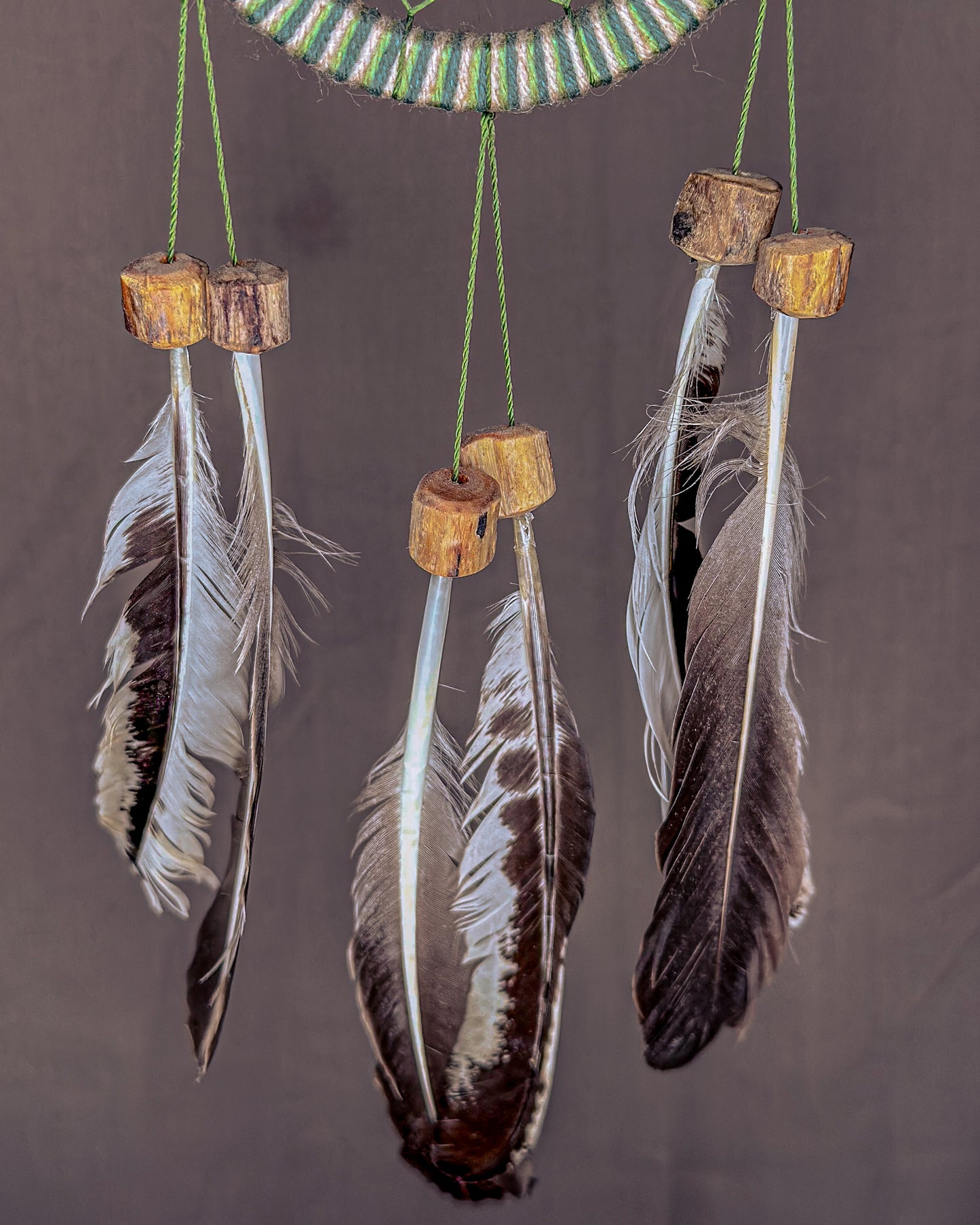 „Trauka“ Sapnų gaudyklė