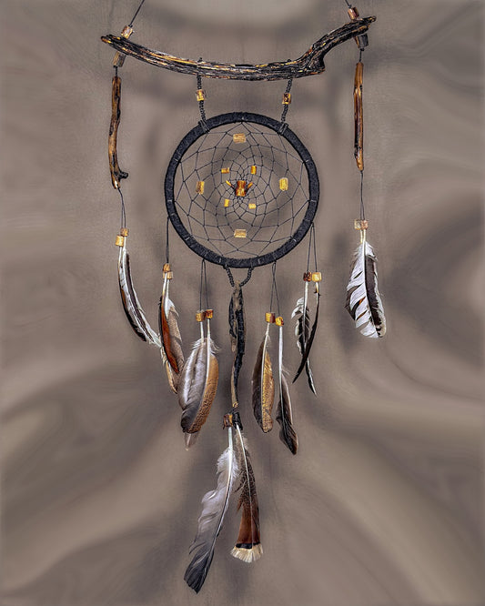 „Gausa“ Sapnų gaudyklė